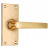 "Asa" Brass Door Handle with Plate 